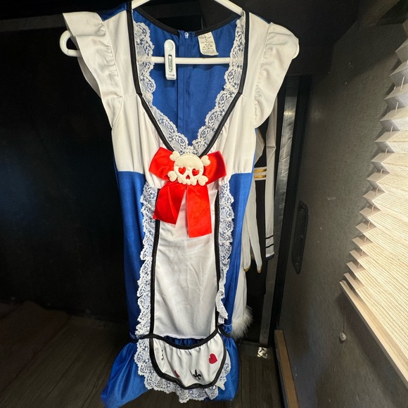 Halloween Costume Alice In Wonderland - Picture 9 of 9